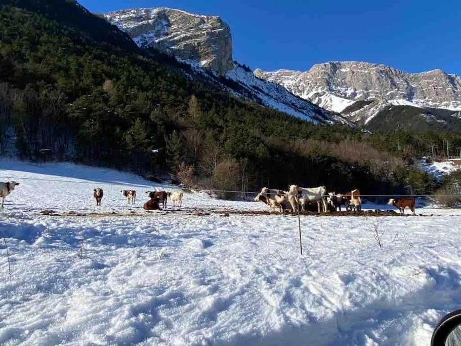 Tres Grand Gite Equipe A La Montagne Villa Le Glaizil Exterior photo